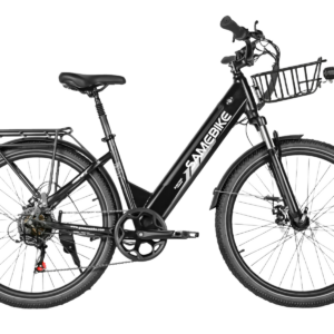 RS-A01 Pro-t | E-Bike | 250W | 25km/h | 36V 15Ah
